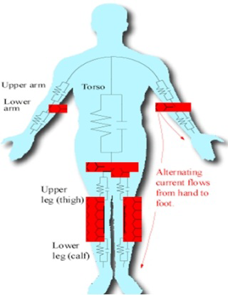 Body Index Analysis